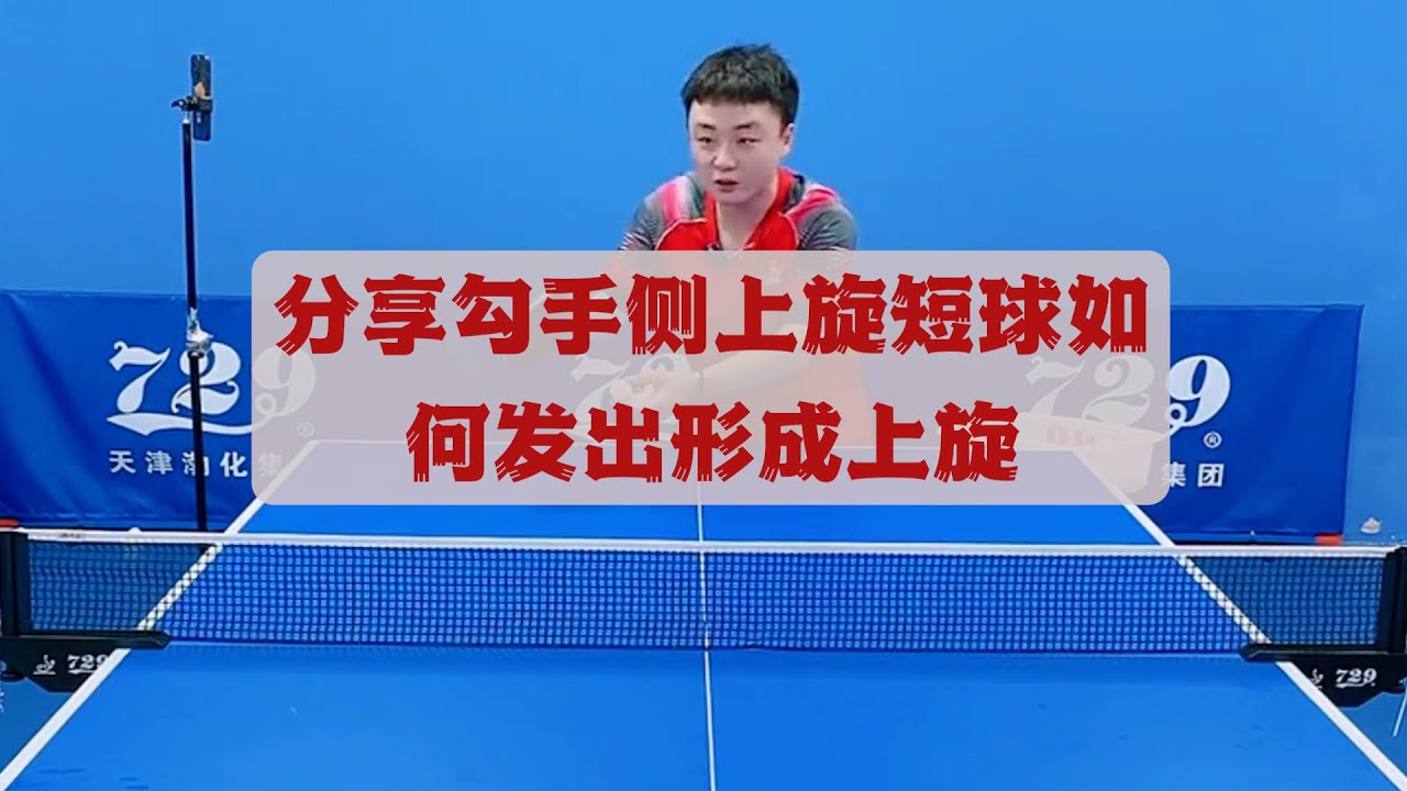 说明了